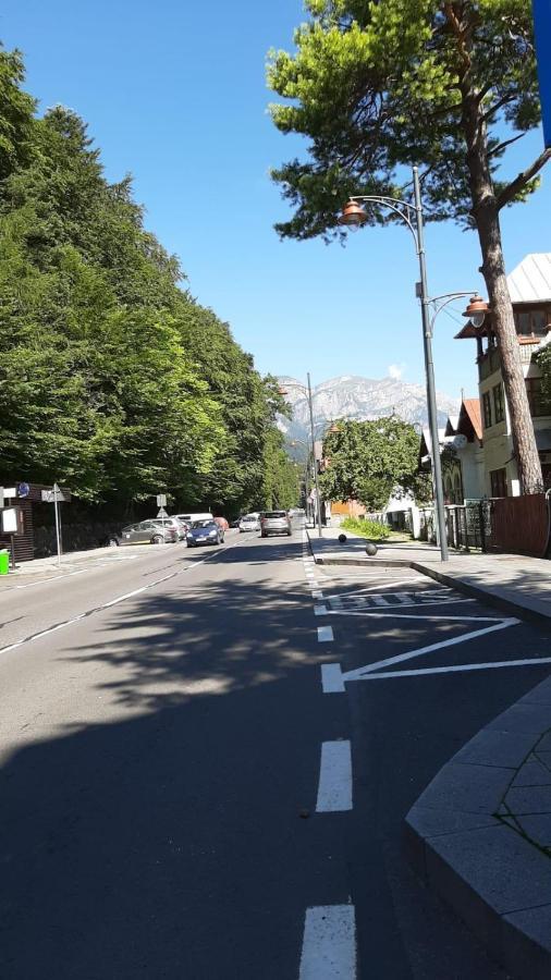 Monik Apartament Sinaia Luaran gambar