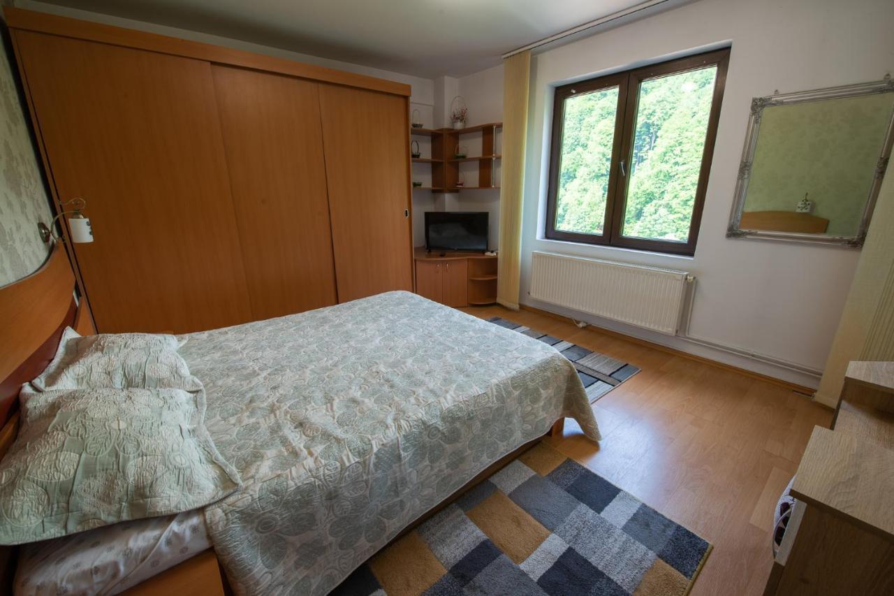 Monik Apartament Sinaia Luaran gambar