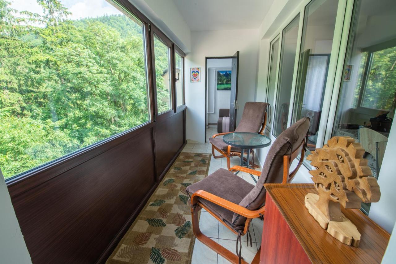 Monik Apartament Sinaia Luaran gambar