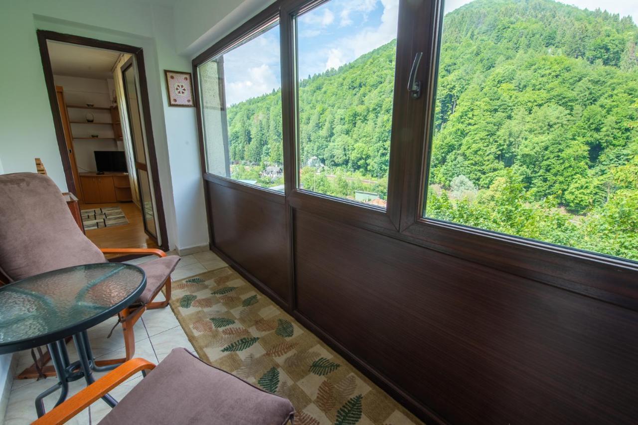 Monik Apartament Sinaia Luaran gambar