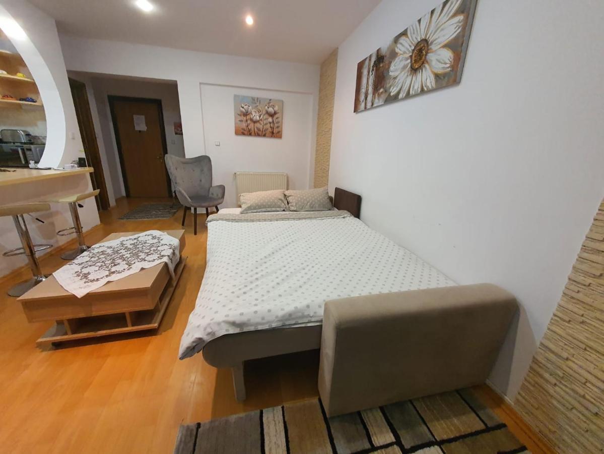 Monik Apartament Sinaia Luaran gambar